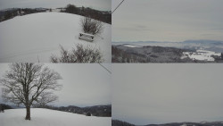 Sdružený snímek Bludný