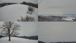 Sdružený snímek Bludný