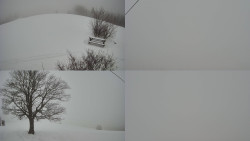 Sdružený snímek Bludný