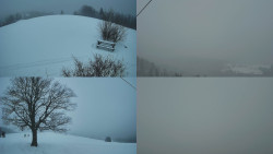 Sdružený snímek Bludný