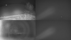 Sdružený snímek Bludný