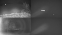 Sdružený snímek Bludný