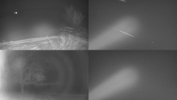 Sdružený snímek Bludný