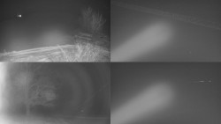 Sdružený snímek Bludný