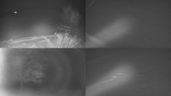 Sdružený snímek Bludný