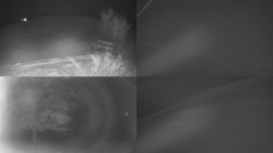 Sdružený snímek Bludný