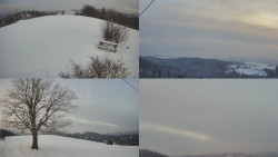 Sdružený snímek Bludný