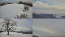 Sdružený snímek Bludný