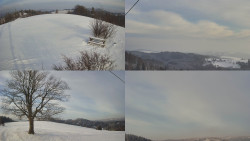 Sdružený snímek Bludný