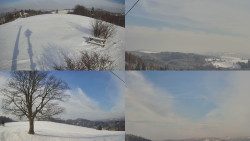 Sdružený snímek Bludný