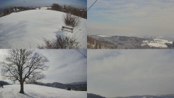 Sdružený snímek Bludný