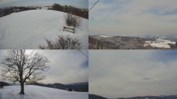 Sdružený snímek Bludný