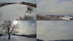 Sdružený snímek Bludný