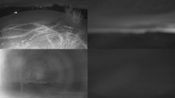 Sdružený snímek Bludný