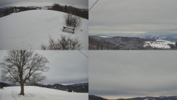 Sdružený snímek Bludný