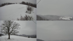 Sdružený snímek Bludný