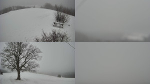 Bludný - Rajnochovice Troják - Sdružený snímek Bludný - 21.2.2026 v 13:31 Bludný - Rajnochovice Troják - Sdružený snímek Bludný - 21.2.2026 v 13:31