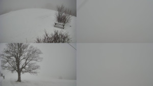 Bludný - Rajnochovice Troják - Sdružený snímek Bludný - 21.2.2026 v 14:01