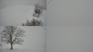 Bludný - Rajnochovice Troják - Sdružený snímek Bludný - 21.2.2026 v 14:31