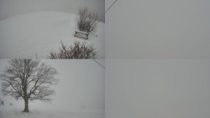 Bludný - Rajnochovice Troják - Sdružený snímek Bludný - 21.2.2026 v 16:01