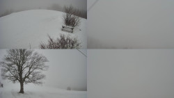 Sdružený snímek Bludný