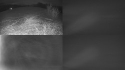 Sdružený snímek Bludný