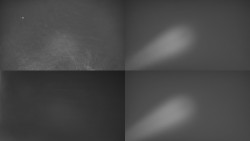 Sdružený snímek Bludný