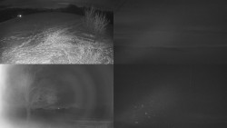 Sdružený snímek Bludný