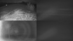 Sdružený snímek Bludný