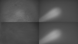 Sdružený snímek Bludný