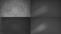 Sdružený snímek Bludný