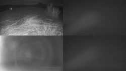 Sdružený snímek Bludný