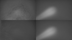 Sdružený snímek Bludný