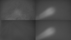 Sdružený snímek Bludný