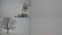 Sdružený snímek Bludný