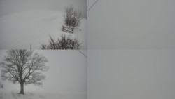 Sdružený snímek Bludný