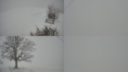 Sdružený snímek Bludný