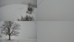 Sdružený snímek Bludný