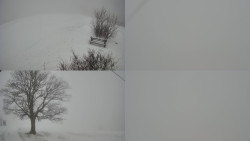 Sdružený snímek Bludný