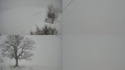 Sdružený snímek Bludný