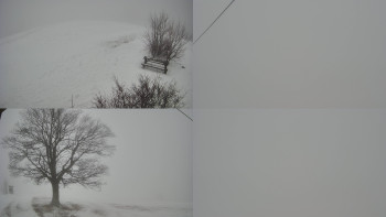 Bludný - Rajnochovice Troják