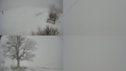 Sdružený snímek Bludný