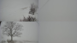 Sdružený snímek Bludný