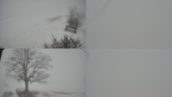 Sdružený snímek Bludný