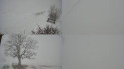 Sdružený snímek Bludný