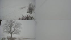 Sdružený snímek Bludný