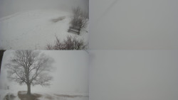 Sdružený snímek Bludný