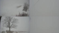 Sdružený snímek Bludný