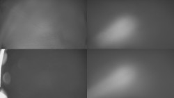 Sdružený snímek Bludný