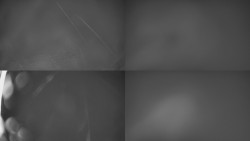 Sdružený snímek Bludný